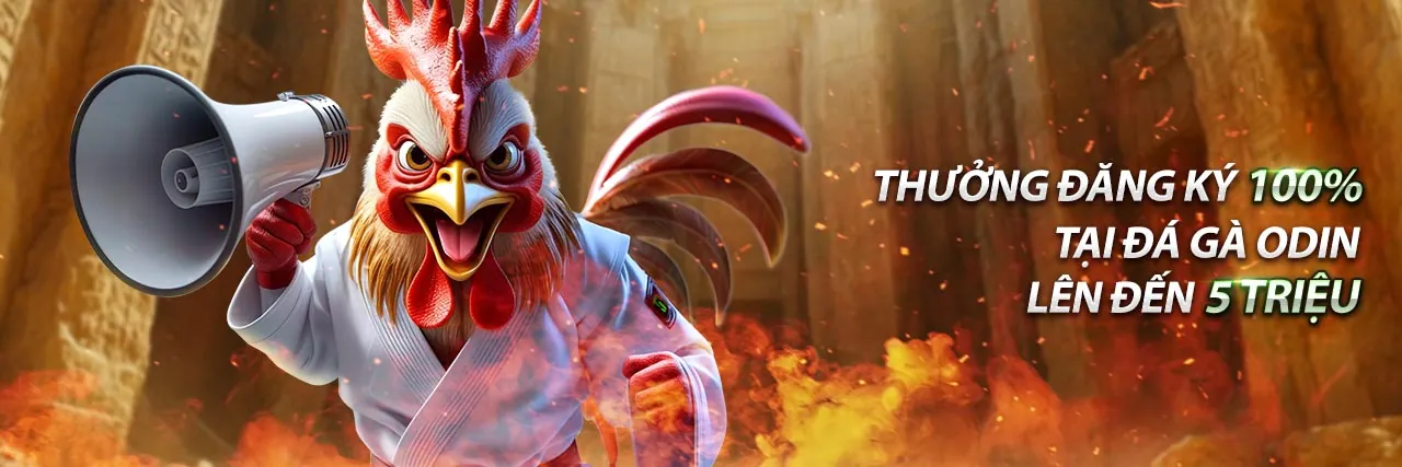 Quy tắc Thể thao KJC