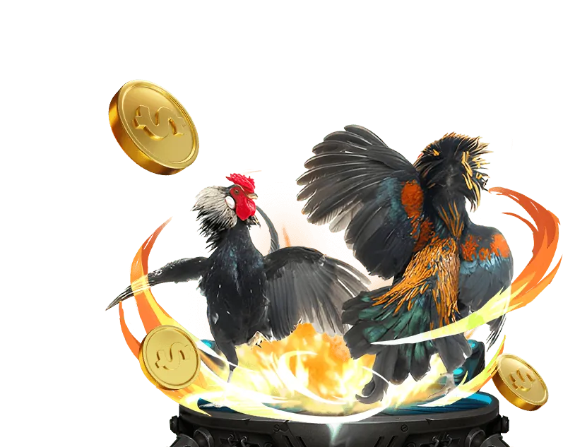 Quy tắc cá cược đá gà tại KJC